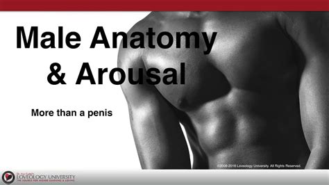 men are horny|3 Male Arousal Triggers That Turn Men On .